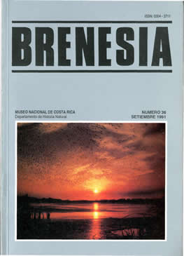 Brenesia 36. 1991.jpg